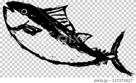 墨で描いた手書きのマグロの挿絵イラスト素材 137373827