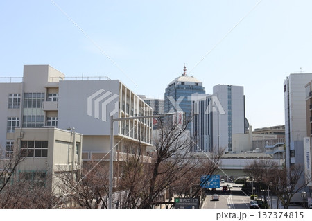 堺市堺東駅南口交差点の街並み風景 堺市堺東駅南口交差点の街並み風景 137374815