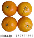 Fresh orange citrus fruit ripe juicy healthy snack vitamin organic 137374864