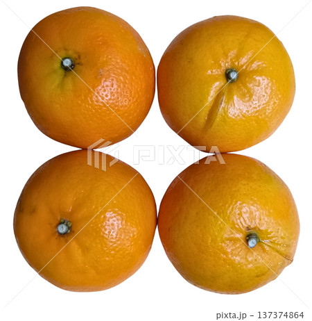 Fresh orange citrus fruit ripe juicy healthy snack vitamin organic 137374864