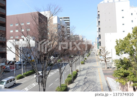 堺市堺区堺東駅付近の大小路通り 堺市堺区堺東駅付近の大小路通り 137374910