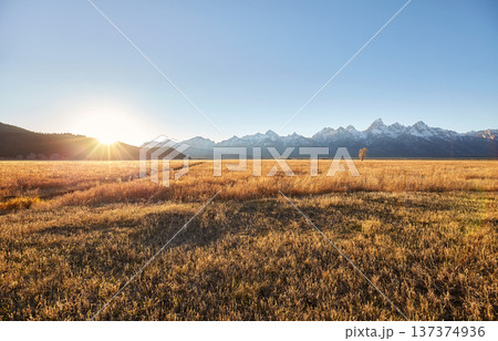 The landscape of Grand Teton National Park at sunrise, USA. The landscape of Grand Teton National Park at sunrise, USA. 137374936