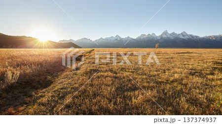 The landscape of Grand Teton National Park at sunrise, USA. The landscape of Grand Teton National Park at sunrise, USA. 137374937
