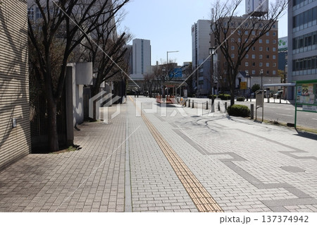 堺市堺区堺東駅付近の大小路通り 137374942