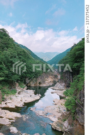 栃木県の龍王峡の渓谷風景 137375452