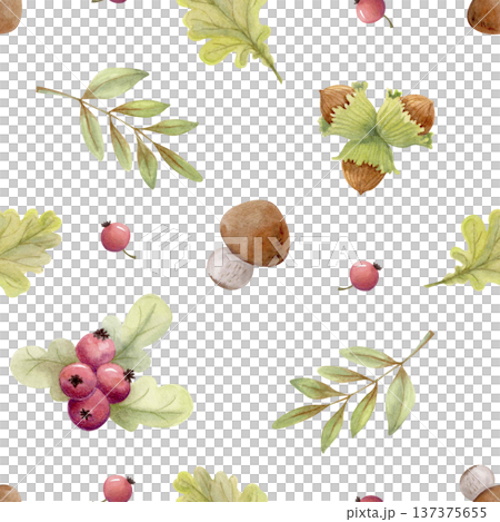 Autumn forest seamless pattern with leaves, berries, mushrooms and hazelnuts. Hand drawn watercolor botanical fall background. Autumn forest seamless pattern with leaves, berries, mushrooms and hazelnuts. Hand drawn watercolor botanical fall background. 137375655