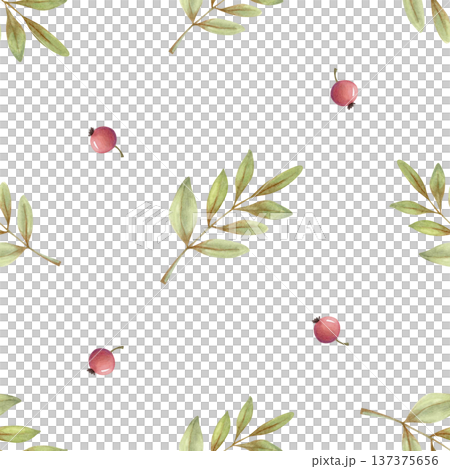 Cozy watercolor seamless pattern with red berries and green leaves. Hand drawn botanical background for fabric and wrapping paper. Cozy watercolor seamless pattern with red berries and green leaves. Hand drawn botanical background for fabric and wrapping paper. 137375656