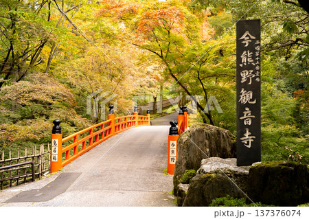 京都 東山 新那智山 今熊野観音寺(西国三十三所巡礼十五番) 参道の紅葉と鳥居橋 京都 東山 新那智山 今熊野観音寺(西国三十三所巡礼十五番) 参道の紅葉と鳥居橋 137376074