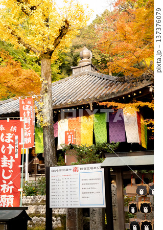 京都 東山 新那智山 今熊野観音寺(西国三十三所巡礼十五番) 大師堂と紅葉 京都 東山 新那智山 今熊野観音寺(西国三十三所巡礼十五番) 大師堂と紅葉 137376079