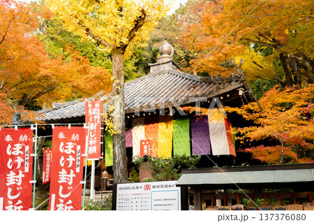 京都 東山 新那智山 今熊野観音寺(西国三十三所巡礼十五番) 大師堂と紅葉 京都 東山 新那智山 今熊野観音寺(西国三十三所巡礼十五番) 大師堂と紅葉 137376080