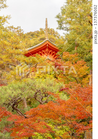 京都　東山　新那智山　今熊野観音寺（西国三十三所巡礼十五番）　多宝塔の医聖堂と紅葉 137376082