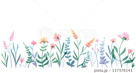 Watercolor wildflowers border isolated on white Watercolor wildflowers border isolated on white 137376141