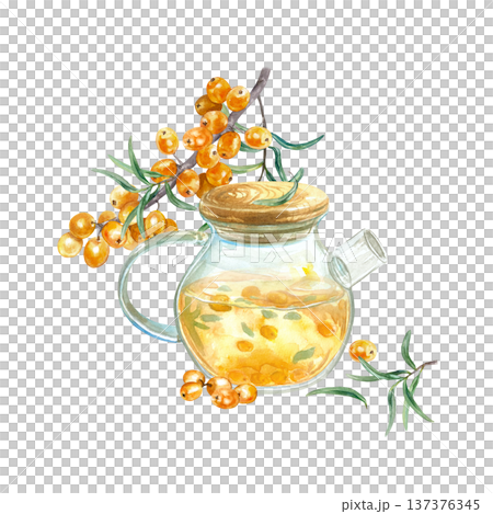 Sea buckthorn tea in a glass teapot with a botanical sprig and ripe berries. Hand drawn watercolor illustration, isolated. For tea label and cafe menu design. 137376345