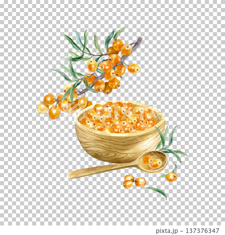 Sea buckthorn berries in a wooden bowl and spoon with a botanical branch nearby. Hand drawn watercolor illustration isolated. Suitable for label design for tea, oil, jam and cosmetics. Sea buckthorn berries in a wooden bowl and spoon with a botanical branch nearby. Hand drawn watercolor illustration isolated. Suitable for label design for tea, oil, jam and cosmetics. 137376347