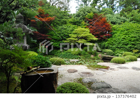 松江の月照寺 松江の月照寺 137376402