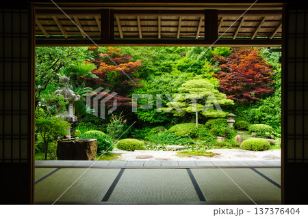 松江の月照寺 松江の月照寺 137376404