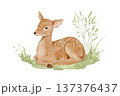 Watercolour deer lying on green lawn. Nature clipart featuring woodland animal for cards and nursery posters. 137376437