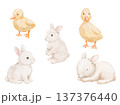 Watercolour cute ducklings and rabbits set. Hand drawn isolated illustration for card and poster 137376440