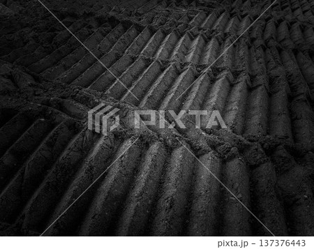 大地を踏み締める 137376443