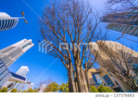 日本の横浜都市景観憂鬱…日本経済の憂鬱。揺れる世界…ホルムズ海峡の封鎖…桜木町駅前のビル群…＝5日 137376663