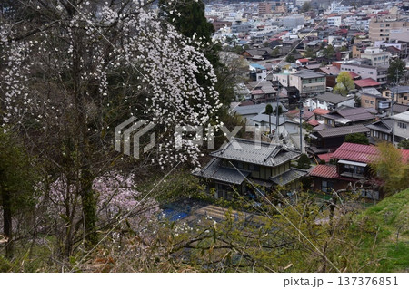 日本の岐阜県の高山市 満開の桜と美しい町並み 市街地方面の新旧の住居 城山公園から見た眺め 日本の岐阜県の高山市 満開の桜と美しい町並み 市街地方面の新旧の住居 城山公園から見た眺め 137376851