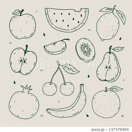Hand-drawn fruits set Hand-drawn fruits set 137376969