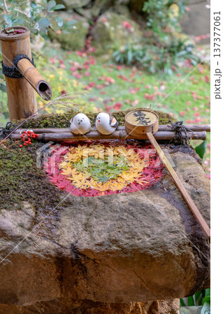 京都府長岡京市　西山　楊谷寺 (柳谷観音)　もみじの庭手水（紅葉） 137377061