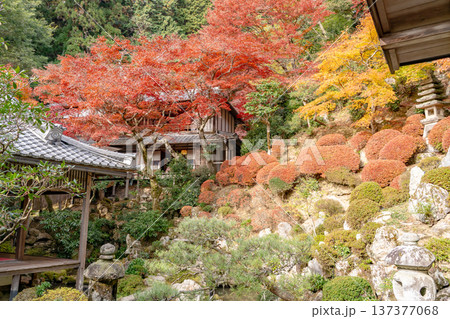 京都府長岡京市　西山　楊谷寺 (柳谷観音)　紅葉の浄土苑と上書院 137377068