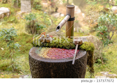 京都府長岡京市　西山　楊谷寺 (柳谷観音)　もみじの庭手水（紅葉） 137377072