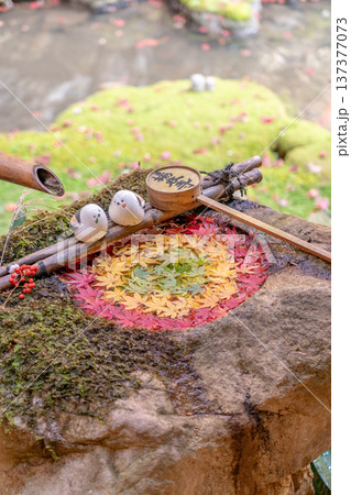 京都府長岡京市　西山　楊谷寺 (柳谷観音)　もみじの庭手水（紅葉） 137377073