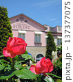 バラが美しい花園フォレストのローズガーデン 137377075