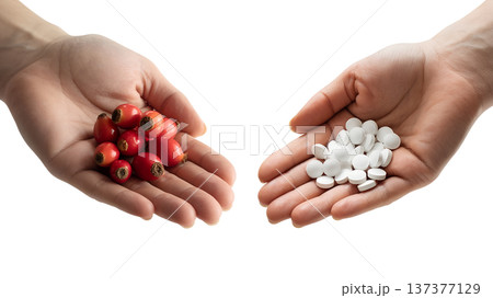 Split concept showing natural rosehip berries versus pharmaceutical pills, representing the choice between holistic remedies and conventional medicine Split concept showing natural rosehip berries versus pharmaceutical pills, representing the choice between holistic remedies and conventional medicine 137377129