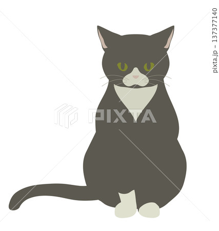 ちょっと不満そうな白黒猫のイラスト 137377140