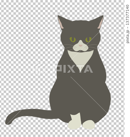 ちょっと不満そうな白黒猫のイラスト 137377140