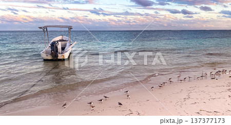 Fishing boat anchored on the shores of the Caribbean Sea. Photo at sunset on a summer day. Fishing boat anchored on the shores of the Caribbean Sea. Photo at sunset on a summer day. 137377173