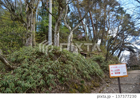日本の岐阜県の高山市　城山公園の遊歩道　入り口に掲げられたクマ注意の立て看板 137377230