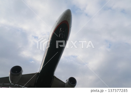 航空機 137377285