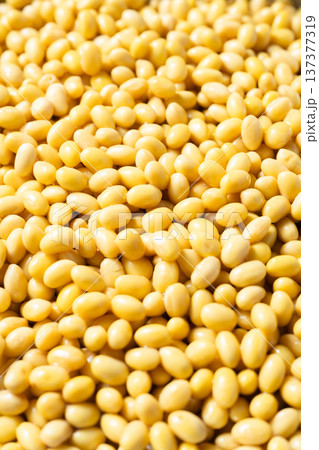 soy beans  137377319