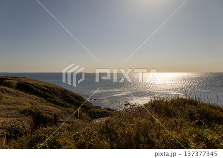 城ケ島公園 1月 公園から見える景色 雄大な海 城ケ島公園 1月 公園から見える景色 雄大な海 137377345