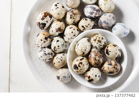 Quail eggs 137377482