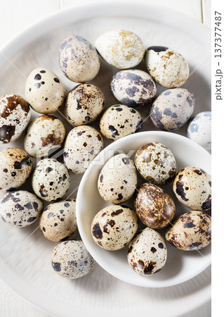 Quail eggs Quail eggs 137377487