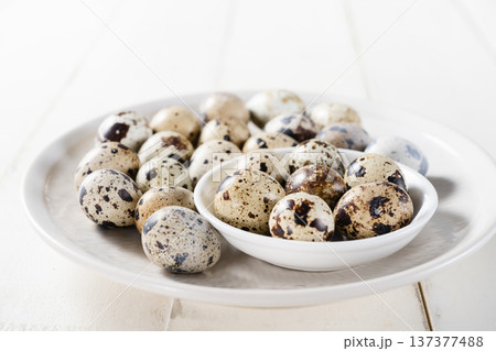 Quail eggs 137377488