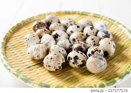 Quail eggs Quail eggs 137377516