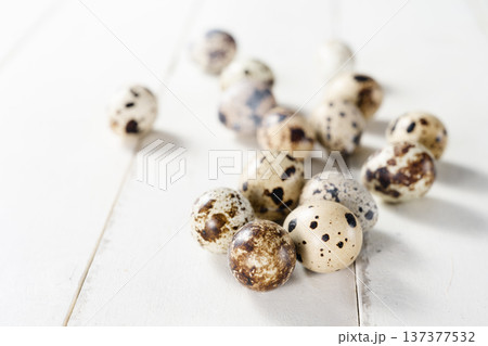 Quail eggs Quail eggs 137377532