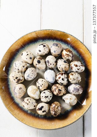 Quail eggs 137377557