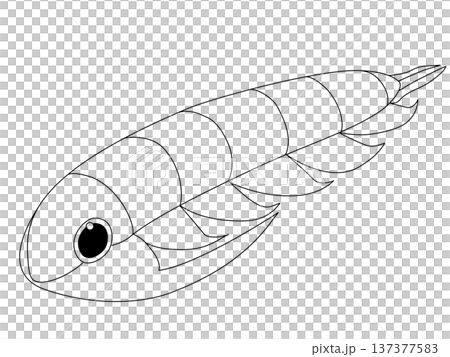 ポップな三葉虫(パラドキシデス)のイラスト　主線のみ 137377583