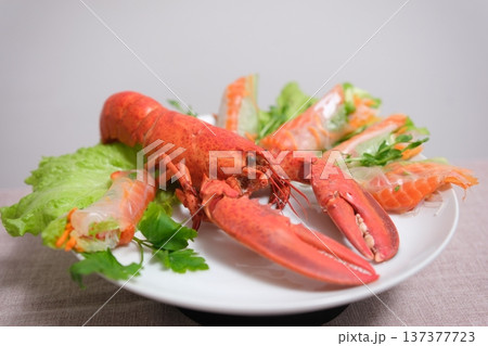spring rolls with red fish, lettuce leaves and crab meat spring rolls with red fish, lettuce leaves and crab meat 137377723