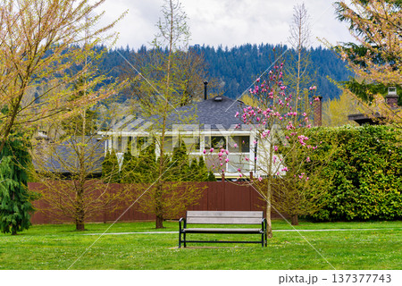 Bench in a park in front of residential house on overcast spring day 137377743
