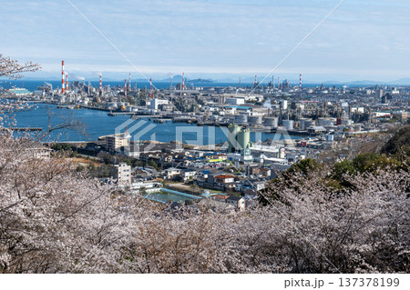 亀井公園の桜 137378199