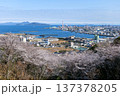 亀井公園の桜 137378205